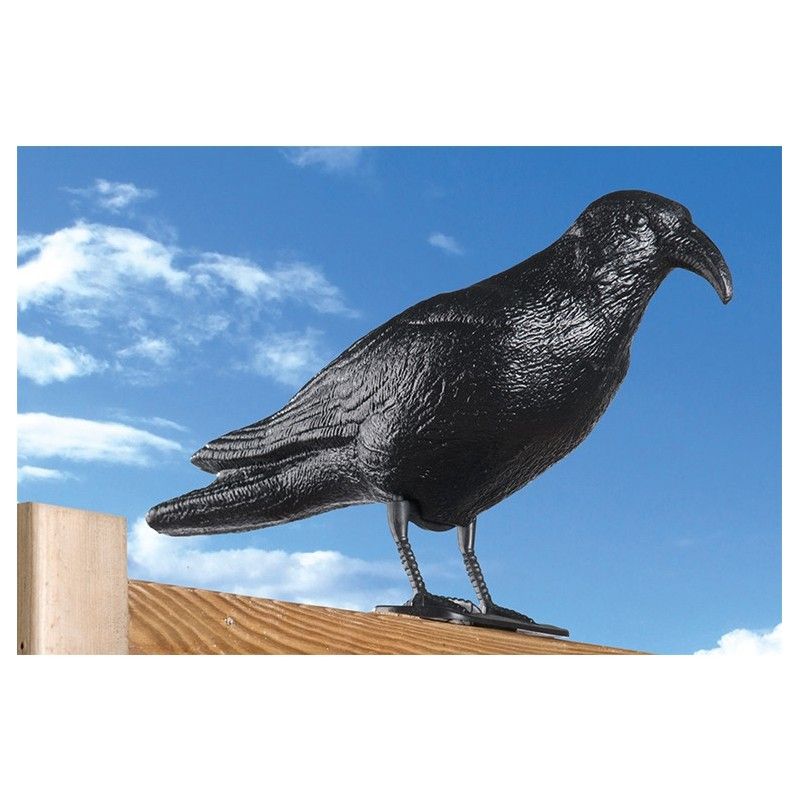 Raven plastico anti pigeons