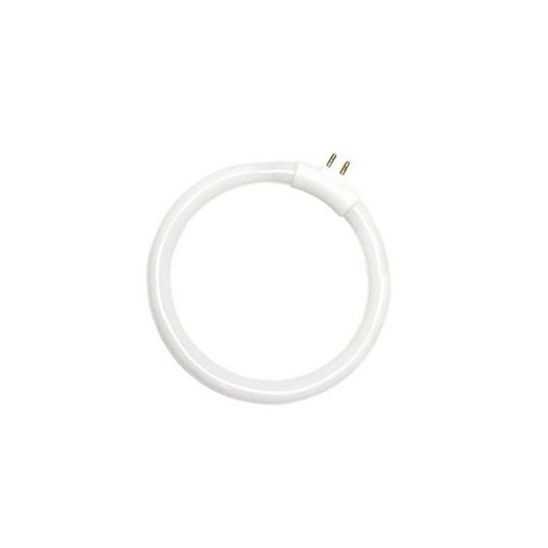 Tubo fluorescente circular T4 12W 138mm G5 6400K