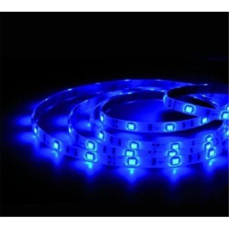 Rollo 5M LED SMD2835 (6W) Azul IP20 24V en blister                                                  