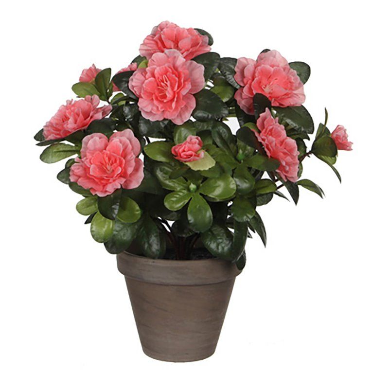 Azalea artificial melocotón en tiesto gris ø11,5cmx27xø20cm