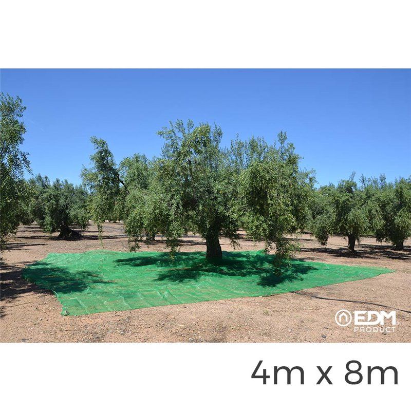 Manto para coleta de frutas 4x8m Cor Verde