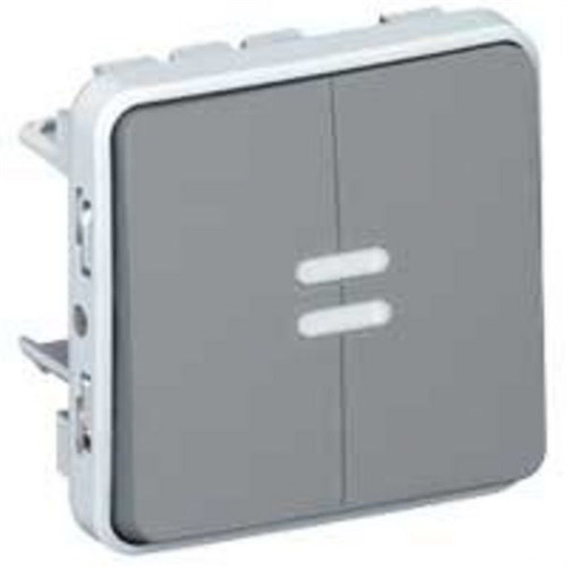 Pulsador doble luminoso E/S plexo gris