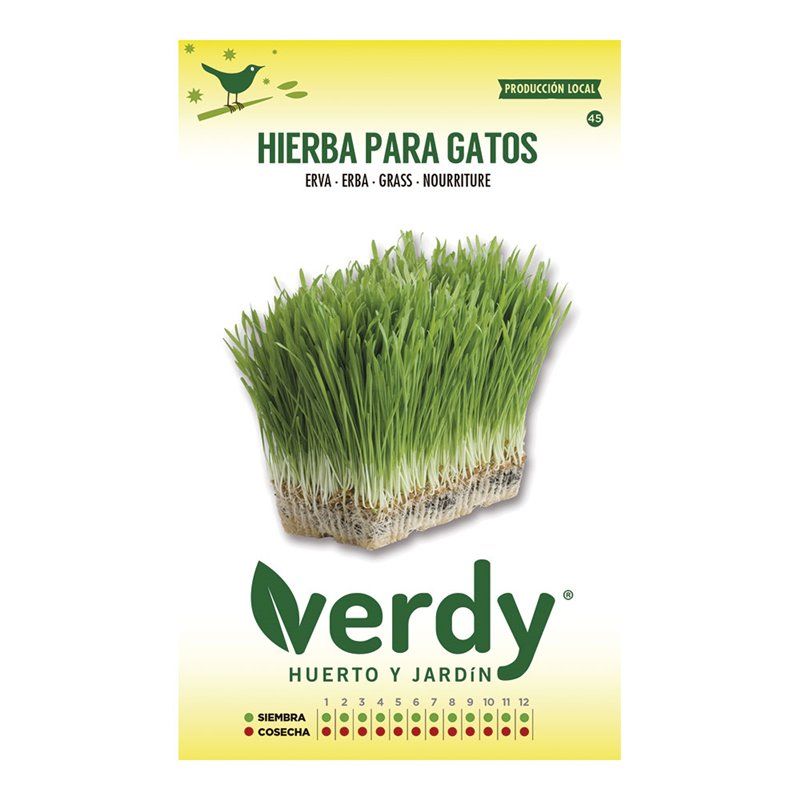 Sobre semillas hierba para gatos verdy