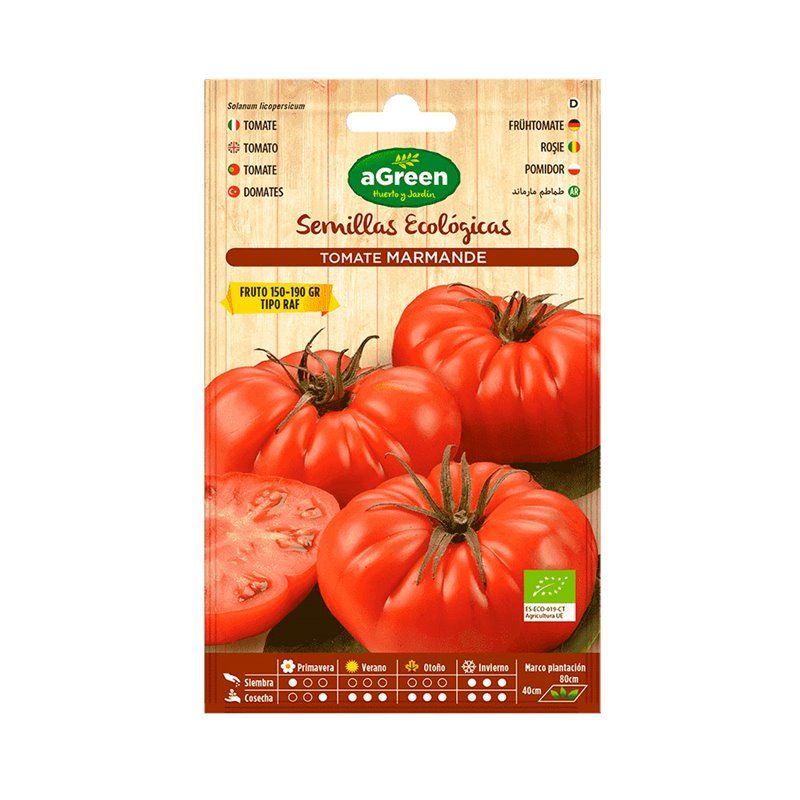 Sachê com sementes de tomate orgânico Marmande RAF Agreen