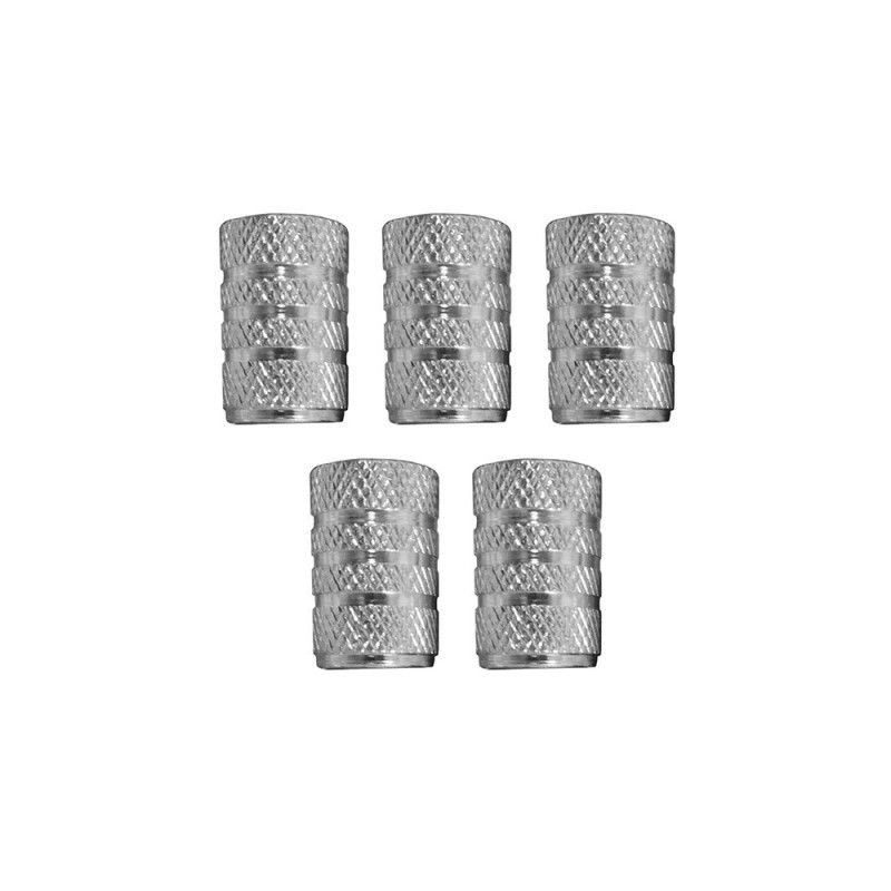 Set of 5 caps for wheel car silver