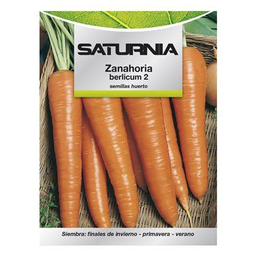 Semillas Huerto Zanahoria Berlicum