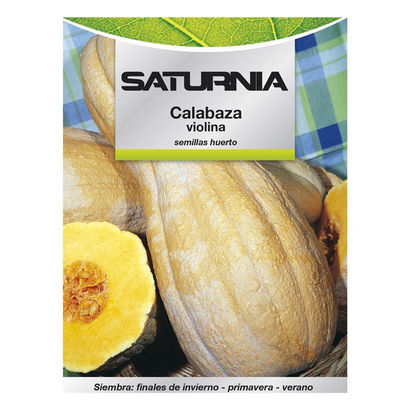 Semillas Huerto Calabaza Violina