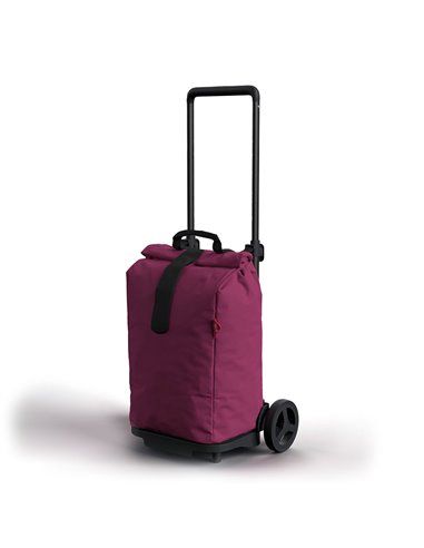 Carrello Spesa 6 Ruote Sali Scale Con Borsa Termica 54 Litri Colore Grigio  Melange