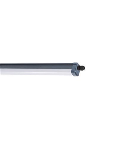 Regleta estanca 54w 5400lm 6500k 150cm 911401861484 philips