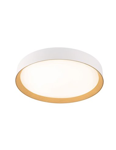 Plafón de techo LED Lea Blanco 72W 3610Lm 3000ºK