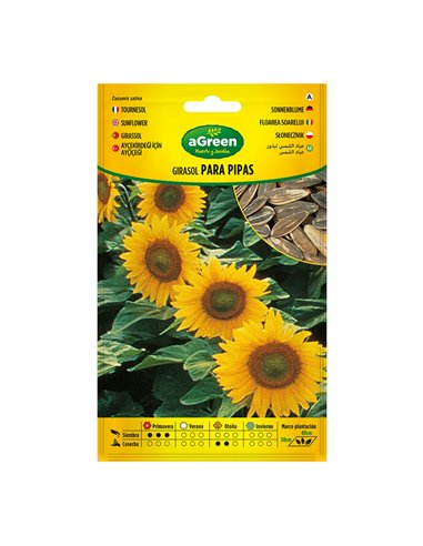 Sobre semillas girasol para pipas 301024bolsh agreen