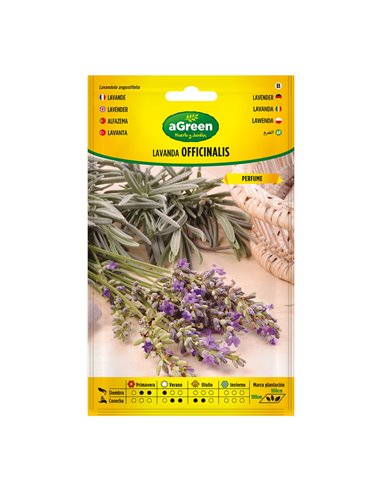 Sobre semillas lavanda officinalis 301031bolsh agreen