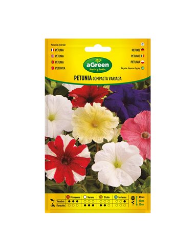 Sobre semillas petunia compacta variada 300678bolsh agreen