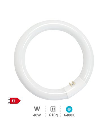 Tubo fluorescente circular T9 40W G10q 6400K