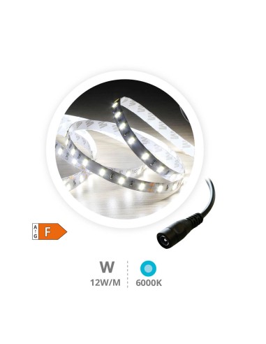 Rollo 5M tira LED 12W/M 6000-6500K IP44 24V