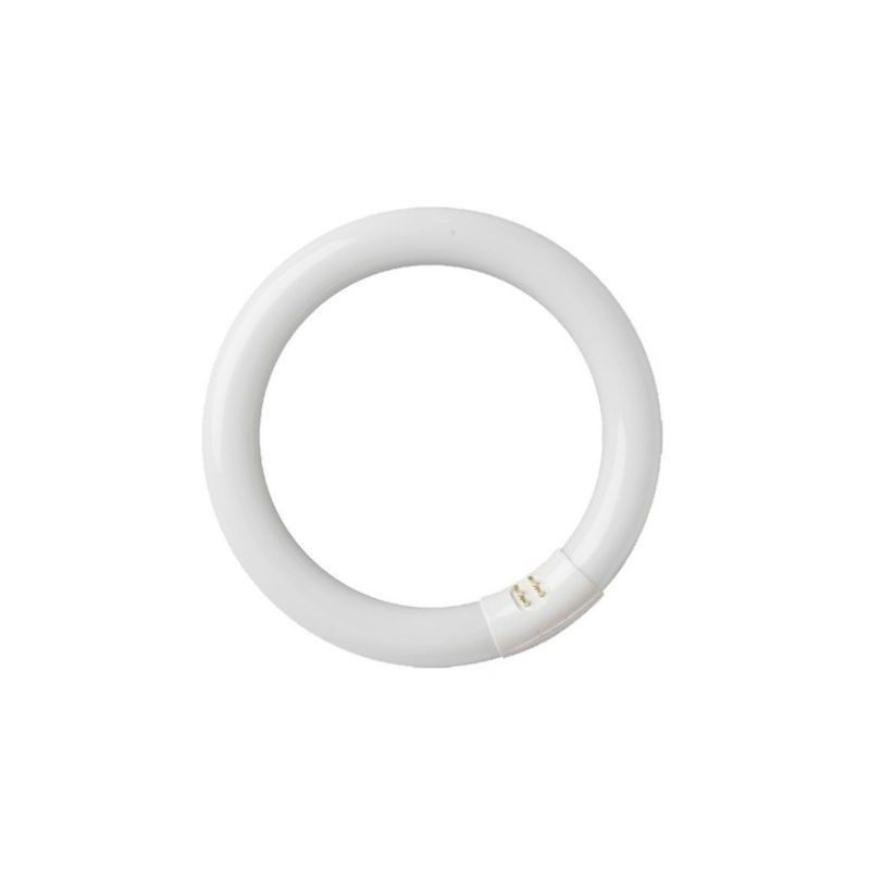 Tubo fluorescente circular T9