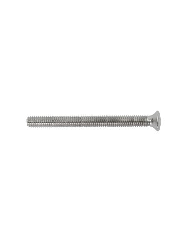 Tornillo ValVula Fregadero Inox M-6x70