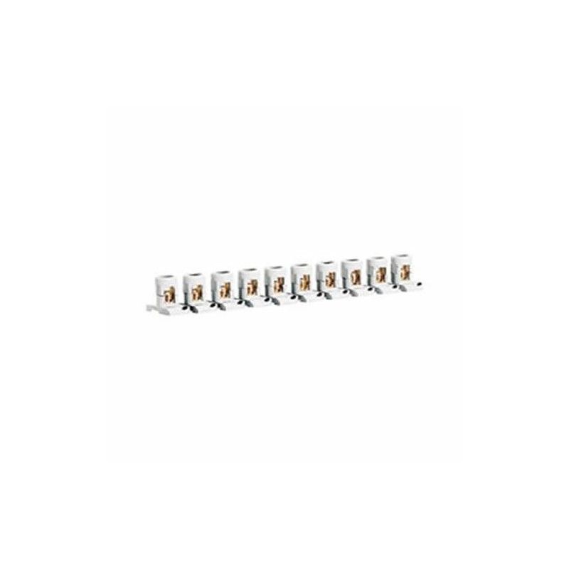 Regleta de paso separable 10 bornas 2x6mm LEGRAND 34000