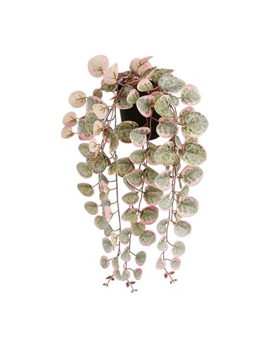 Planta artificial colgante ceropegia woodii "collar de corazones" rosa con maceta.