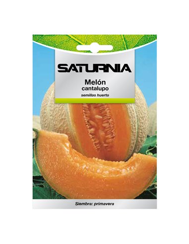 Semillas Melon Cantalupo (3 gramos) Semillas Frutas, Horticultura, Horticola, Semillas Huerto.