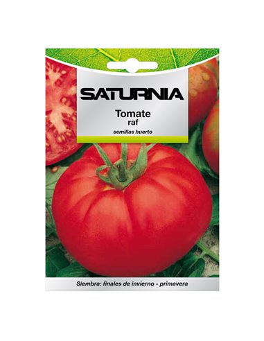 Semillas Tomate Raf (1.5 gramos) Semillas Verduras, Horticultura, Horticola, Semillas Huerto.