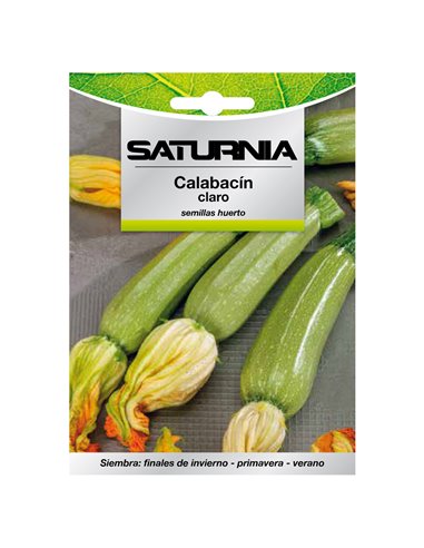 Semillas Calabacin Claro (5 gramos) Semillas Verduras, Horticultura, Horticola, Semillas Huerto.