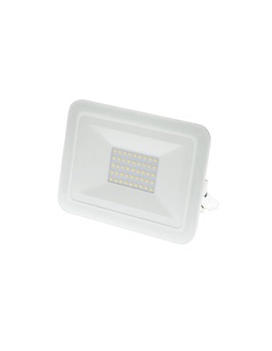 Proyector pad blanco 30w 5500ºk