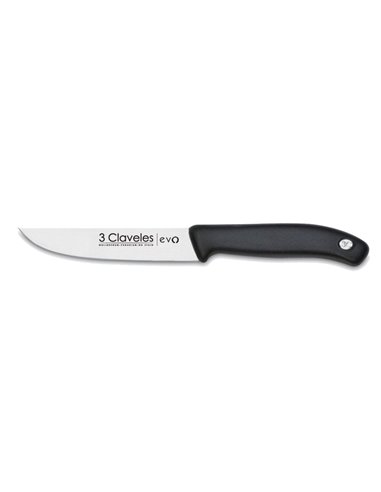 3 CLAVELES CUCHILLO EVO PL.COCINA 11,0 CM-4,5" E01352