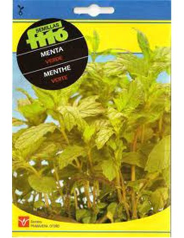 SEMILLAS FITO AROMATICAS MENTA VERDE00653