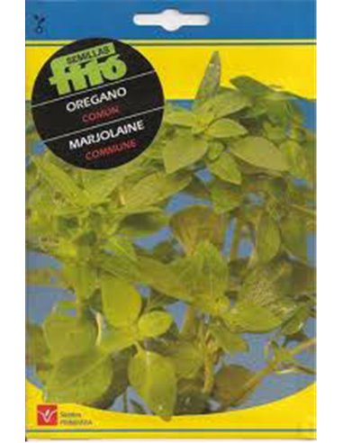 SEMILLAS FITO AROMATICAS OREGANO COMUN02611