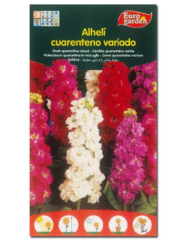 SEMILLAS FITO FLORES ALHELI CUARENTENO00508