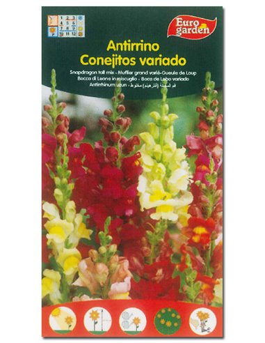 SEMILLAS FITO FLORES ANTIRRINO CONEJITOS VARIADOS00505