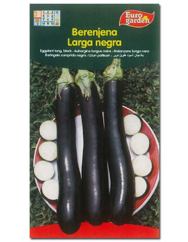 SEMILLAS FITO HORTICOLAS BERENJENA LARGA NEGRA00013