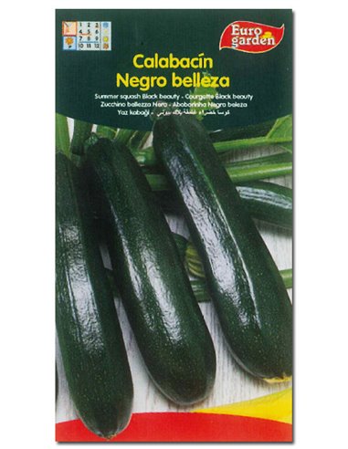 SEMILLAS FITO HORTICOLAS CALABACIN NEGRO BELLEZA00030