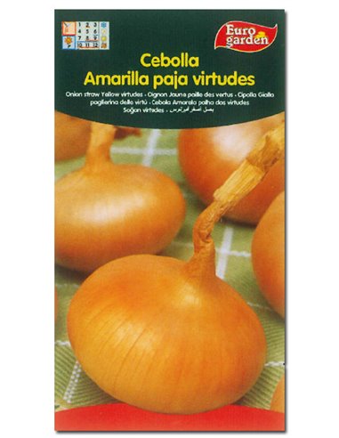 SEMILLAS FITO HORTICOLAS CEBOLLA AMARILLA PAJA VIRTUDES00044