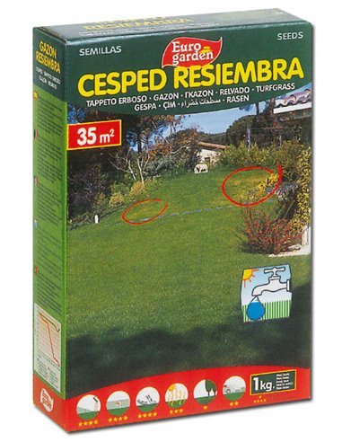 SEMILLAS FITO CESPED RESIEMBRA EUROGARDEN 1KG04457