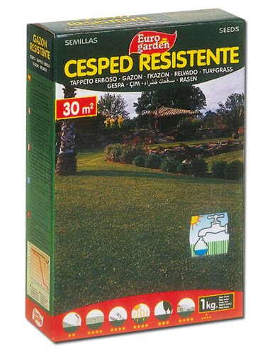 SEMILLAS FITO CESPED RESISTENTE EUROGARDEN 1KG04455