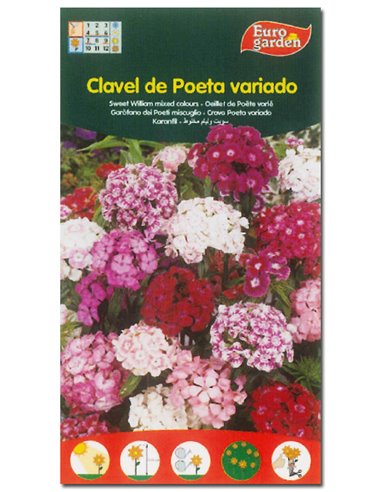 SEMILLAS FITO FLORES CLAVEL DE POETA VARIADO00544