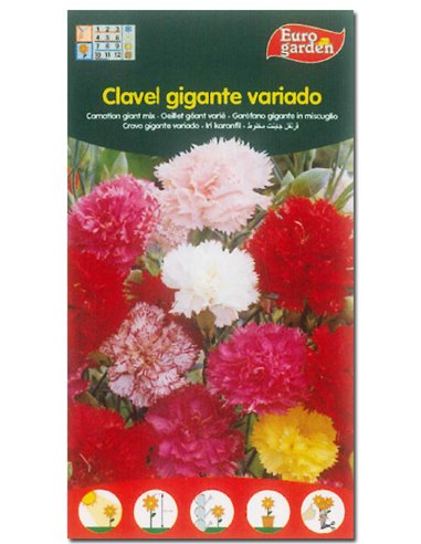 SEMILLAS FITO FLORES CLAVEL GIGANTE VARIADO00615