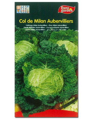 SEMILLAS FITO HORTICOLAS COL MILAN AUDERVILLIERS00059