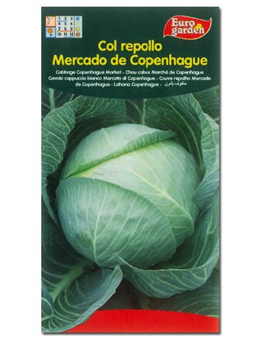 SEMILLAS FITO HORTICOLAS COL REPOLLO MERCADO DE COPENHAGUE04556