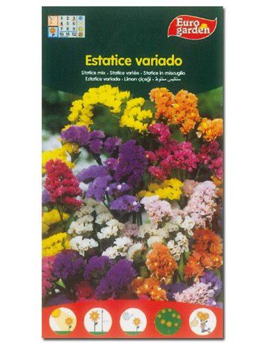 SEMILLAS FITO FLORES ESTATICE VARIADA00630