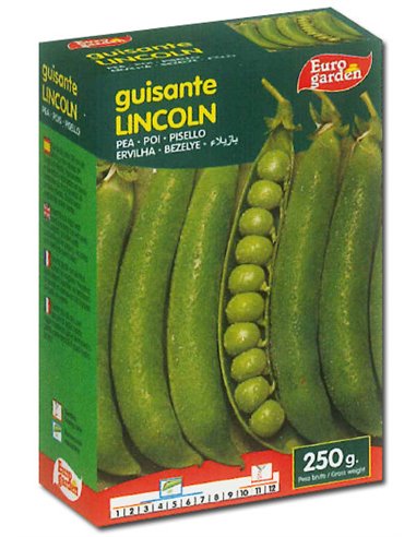 SEMILLAS FITO LEGUMINOSAS GUISANTE LINCOLN GANCHO 250 GRS04512