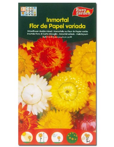 SEMILLAS FITO FLORES INMORTAL FLOR DE PAPEL (SIEMPREVIVA)00569