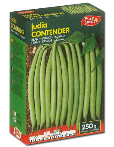 SEMILLAS FITO LEGUMINOSAS JUDIA CONTENDER MATA BAJA 250 GR04517