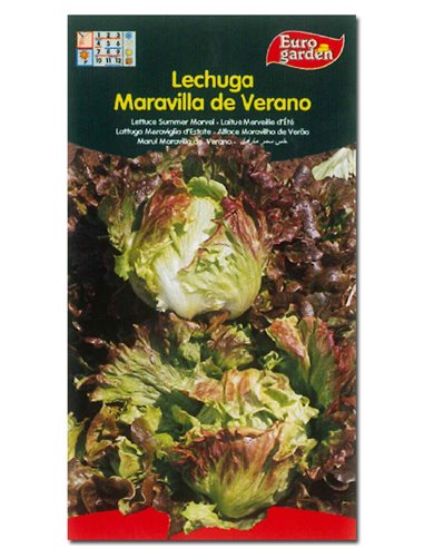 SEMILLAS FITO HORTICOLAS LECHUGA MARAVILLA DE VERANO00208