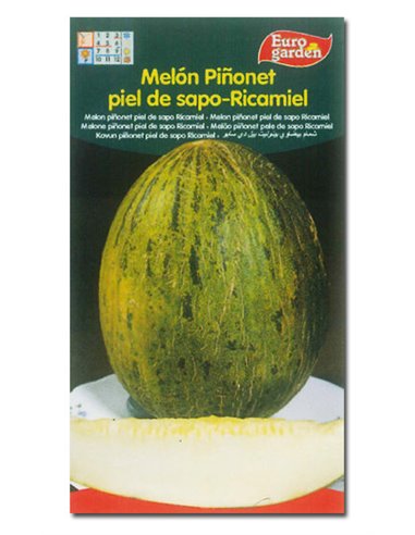 SEMILLAS FITO HORTICOLAS MELON "RICAMIEL"PI�ONET PIEL SAPO00217