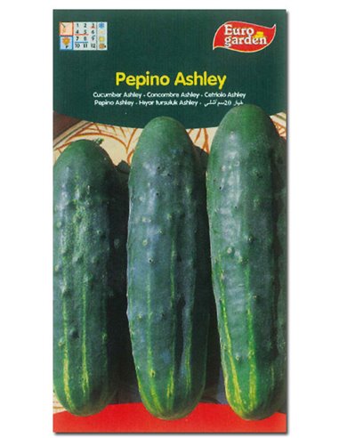 SEMILLAS FITO HORTICOLAS PEPINO ASHLEY00234