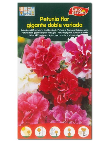 SEMILLAS FITO FLORES PETUNIA FLOR GIGANTE DOBLE VARIADA00633