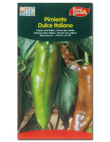 SEMILLAS FITO HORTICOLAS PIMIENTO DULCE ITALIANO00254